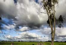 2025年中国门球冠军赛总决赛收官