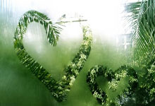 晋能控股煤业集团多名选手在全国煤炭(tàn)行(xíng)业职业技能竞赛中获佳绩